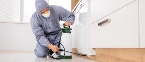 Why Commercial Pest Control Services Are Essential To Any Business?